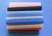 乐至涤纶（PET）无纺布是什么